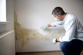 Best Mold Prevention Services  in Hawarden, IA